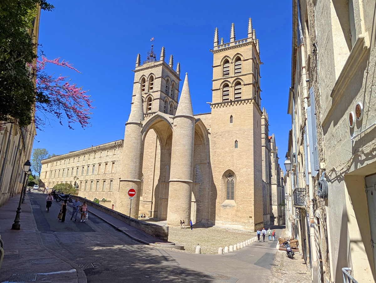 30 images showing you why you should visit Montpellier