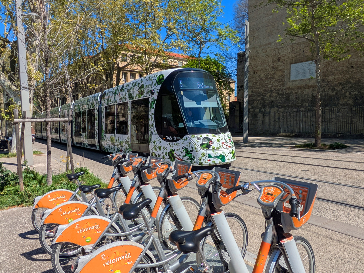 30 images showing you why you should visit Montpellier
