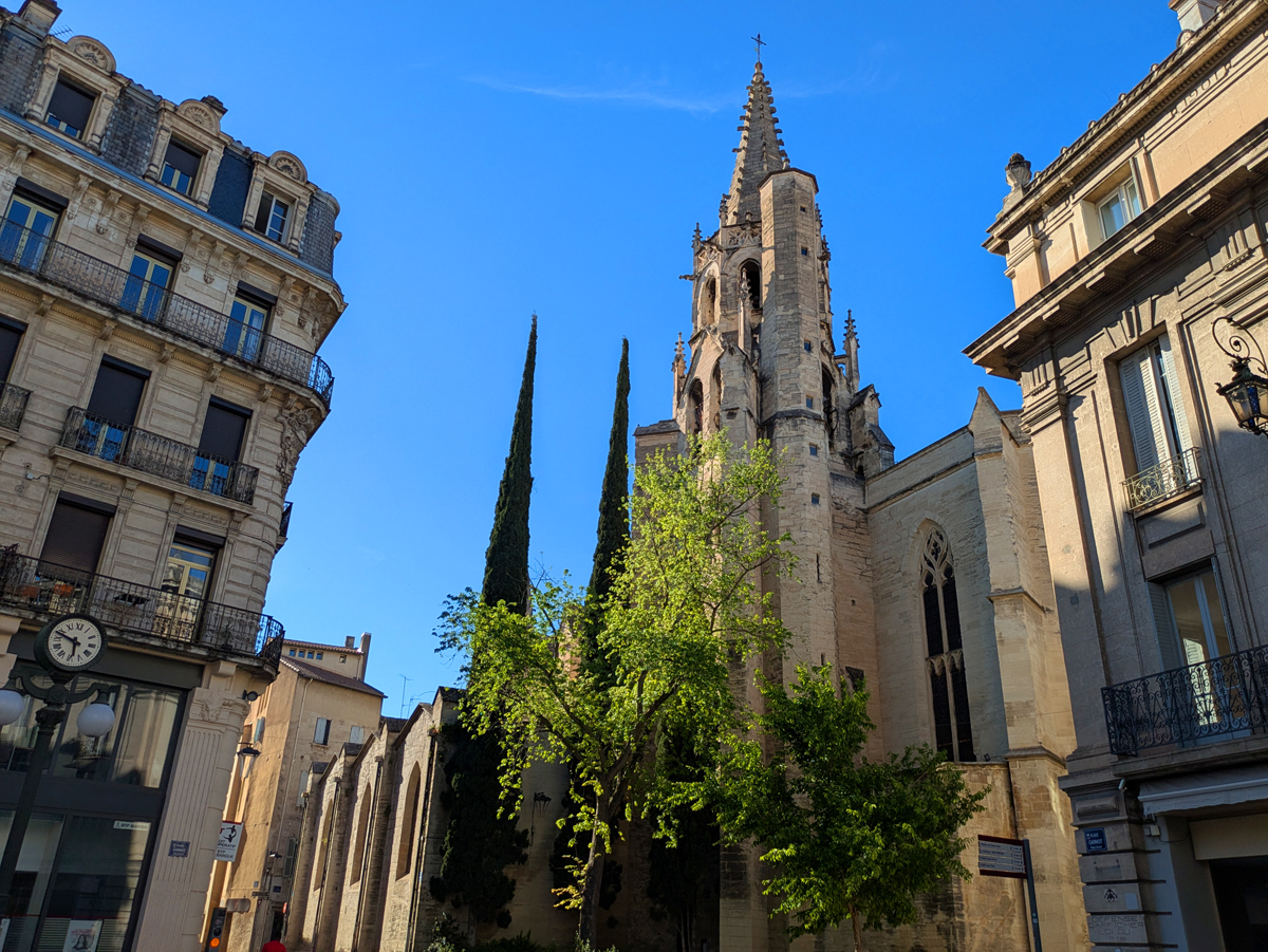 What to do in Avignon