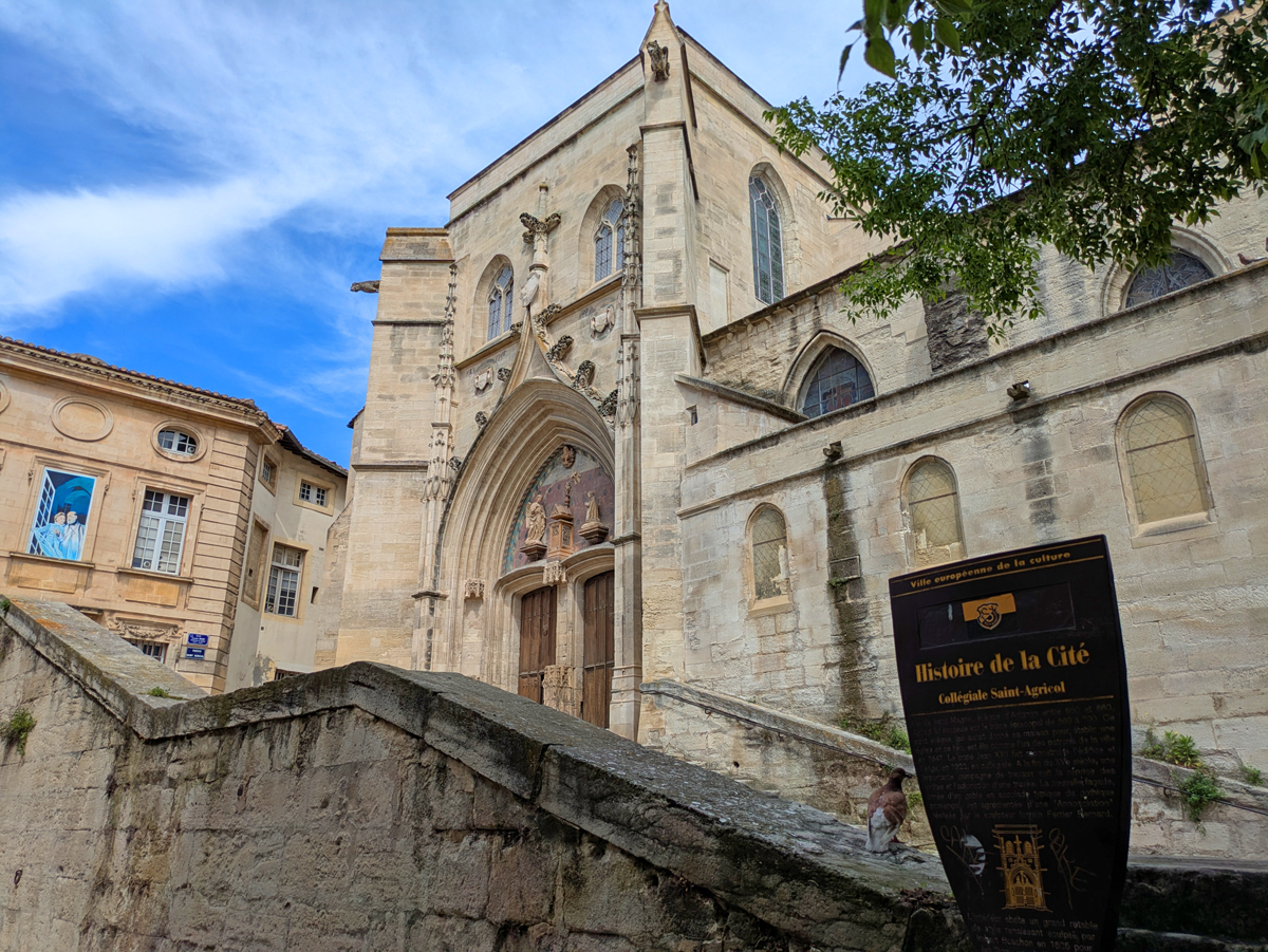 What to do in Avignon
