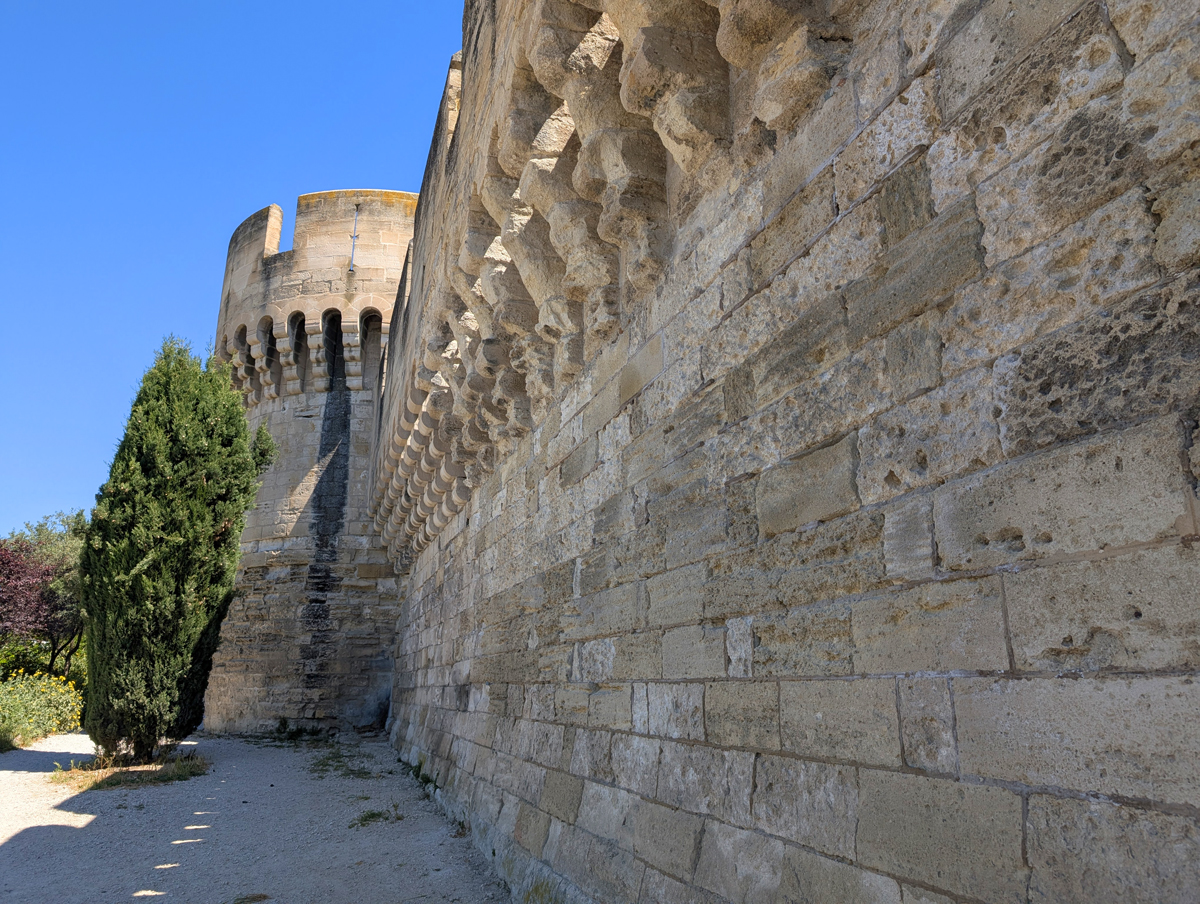 What to do in Avignon