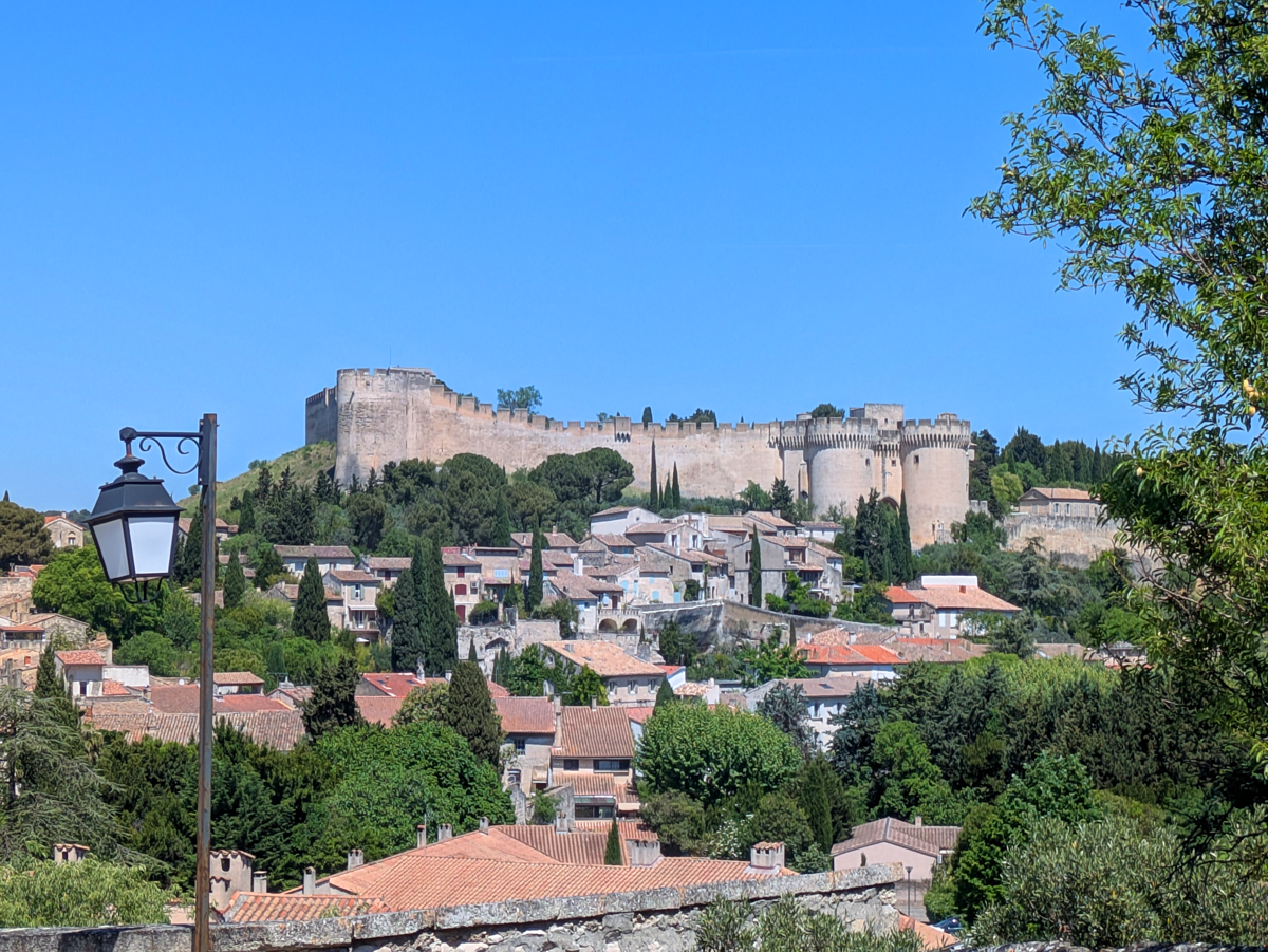 What to do in Avignon