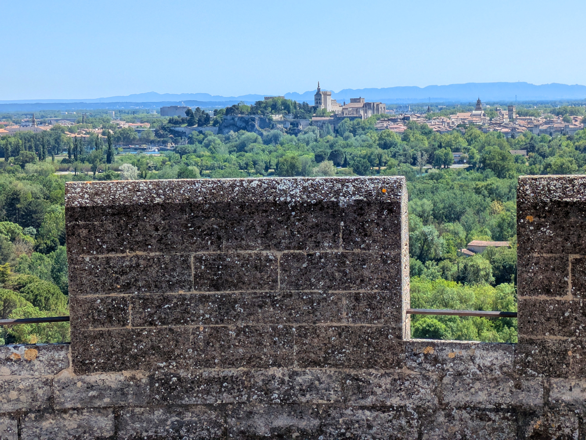 what to do in Avignon