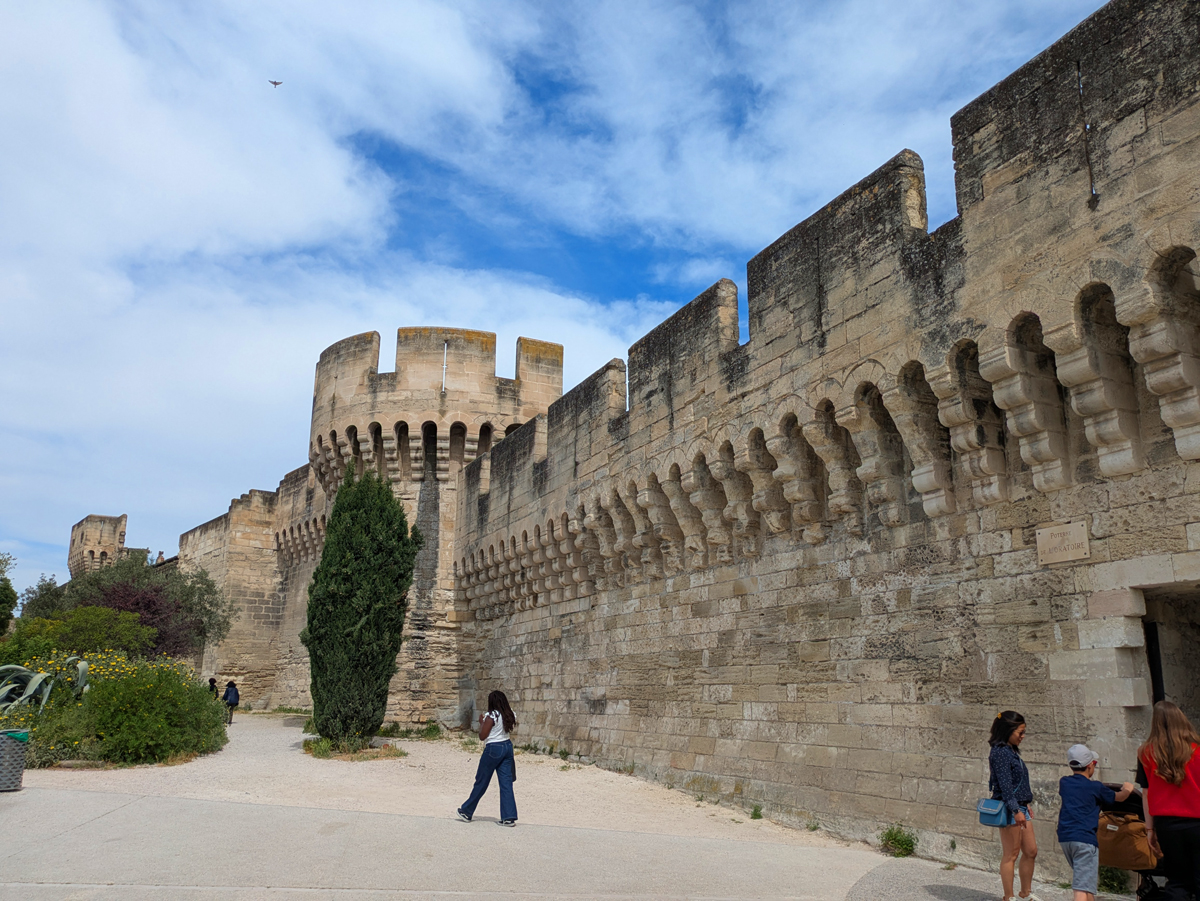 What to do in Avignon