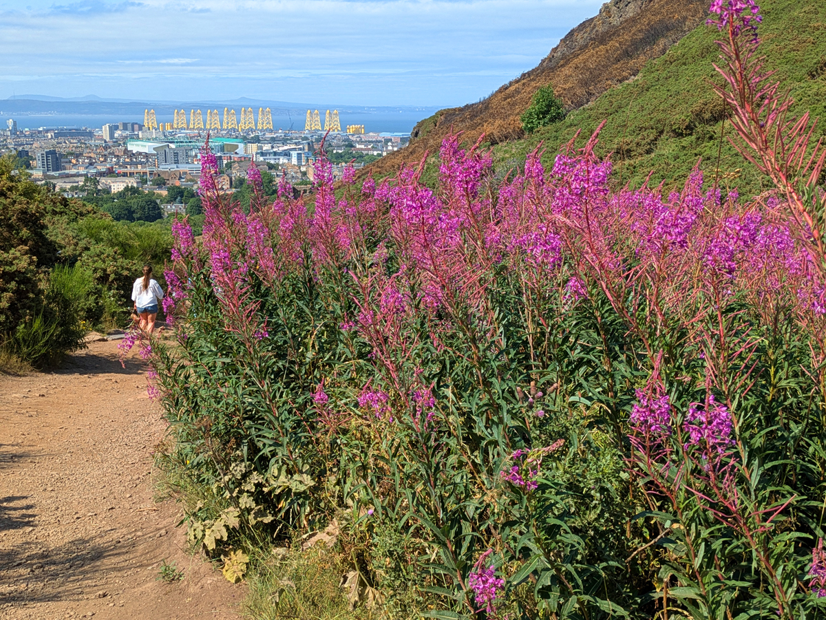 Edinburgh: a hike up to Arthur's Seat