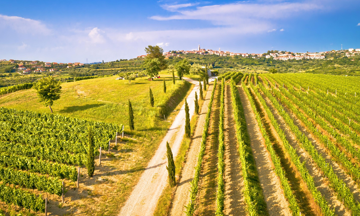 The Best Cycling Routes on the Croatian Coast
