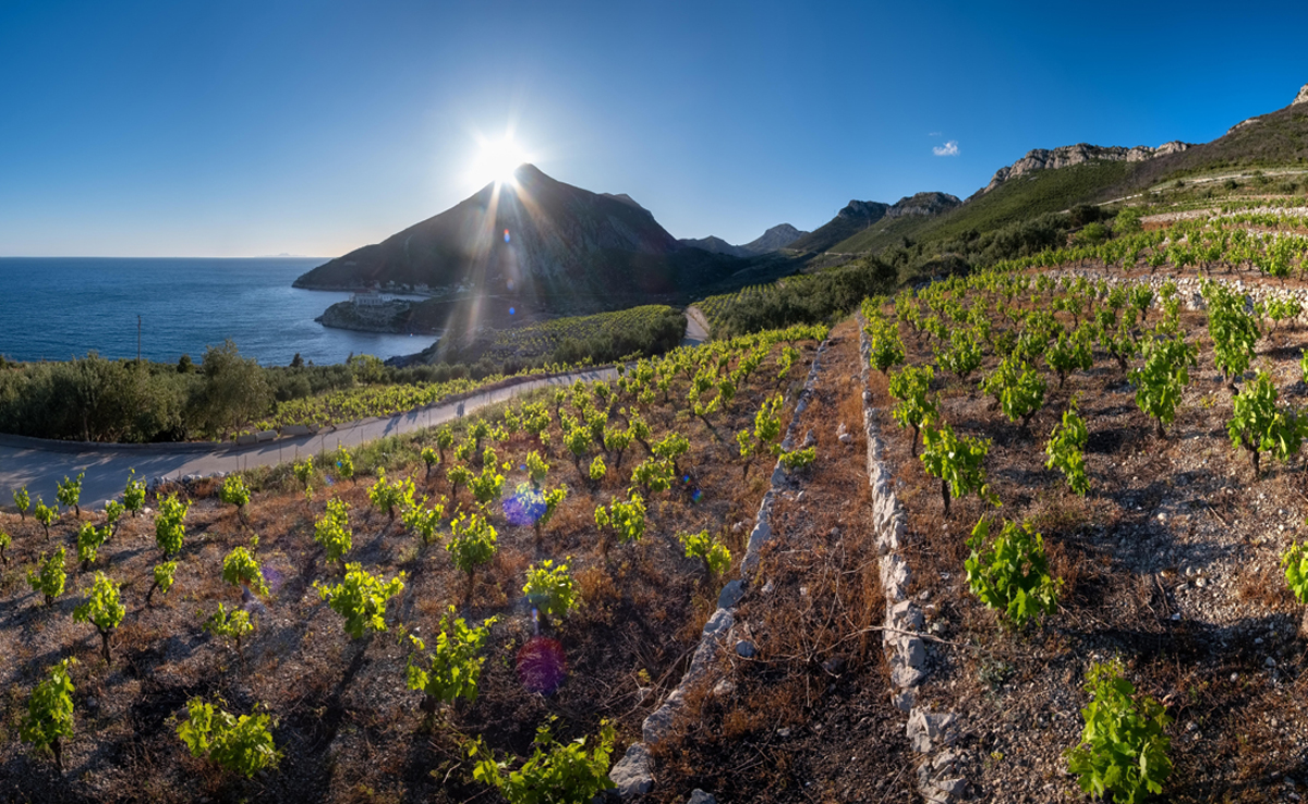 The Best Cycling Routes on the Croatian Coast