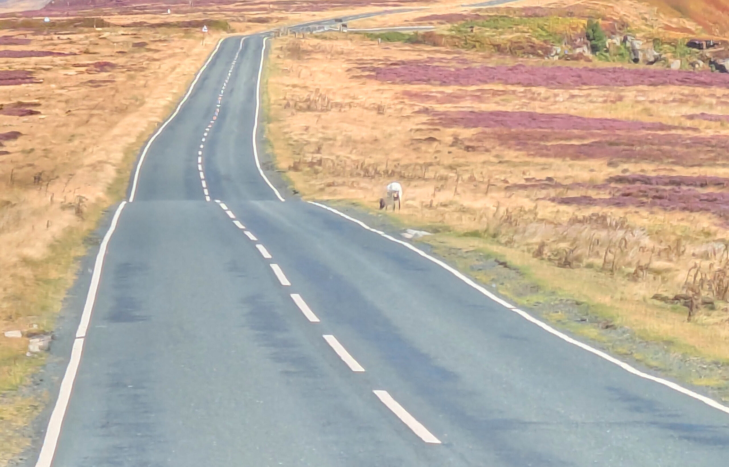 Whitby and the North York Moors National Park