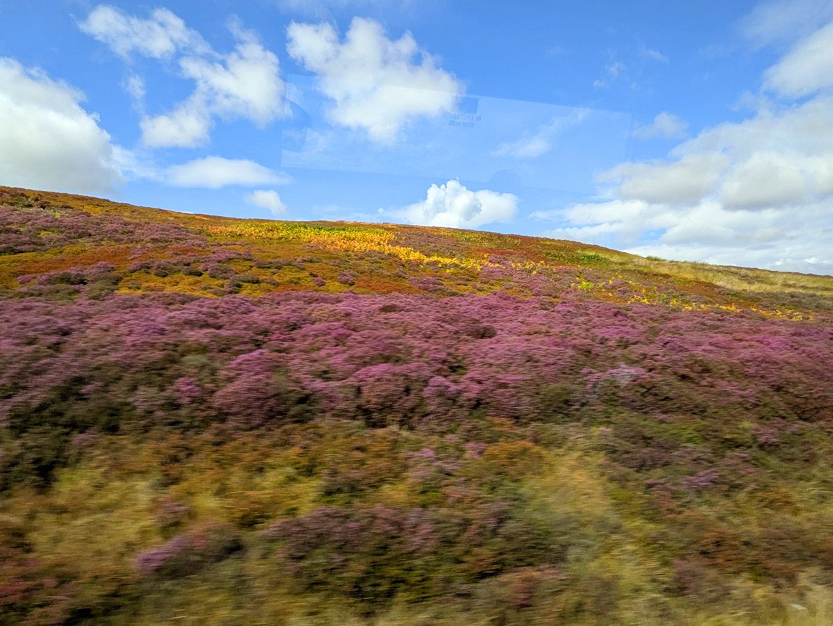 Whitby and the North York Moors National Park