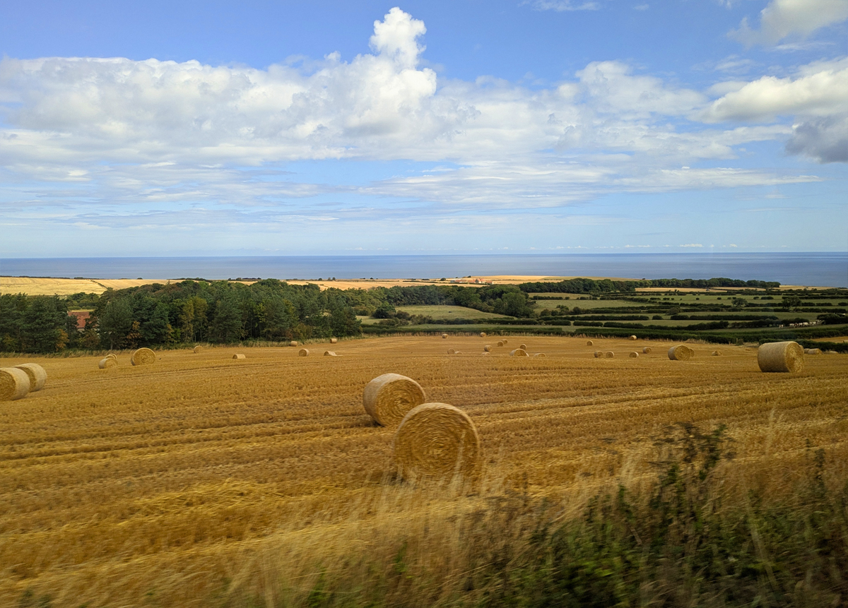 Whitby and the North York Moors National Park