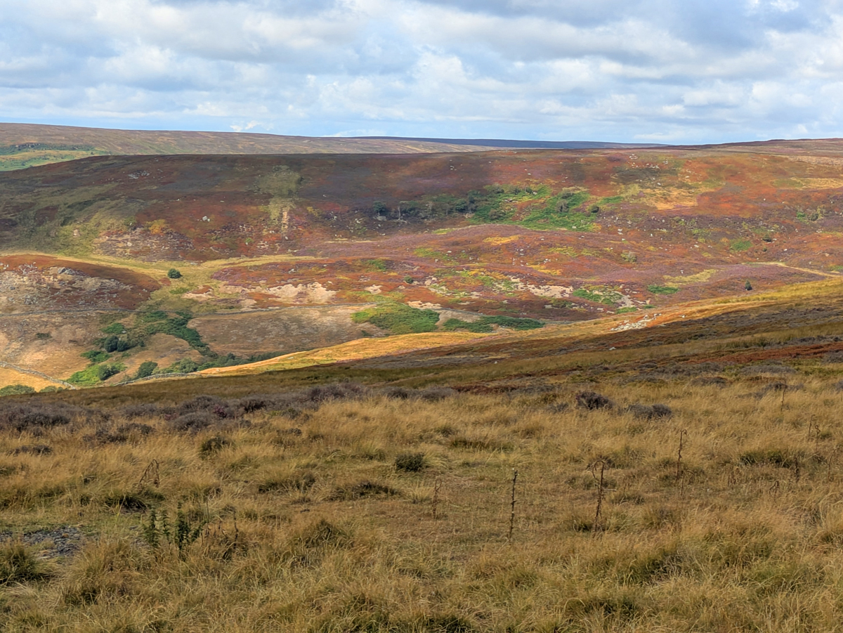 Whitby and the North York Moors National Park