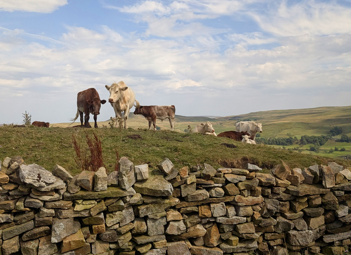 A Tour of the Yorkshire Dales