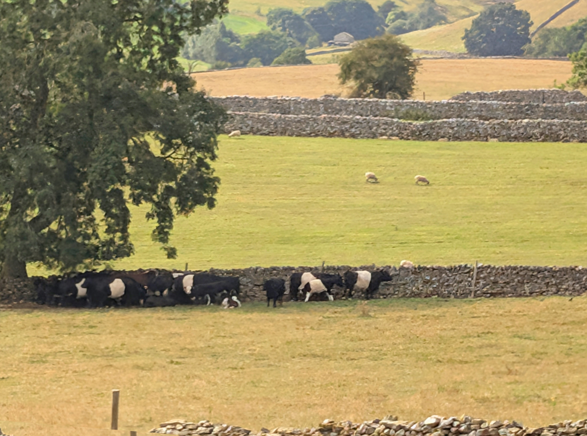 Yorkshire Dales National park