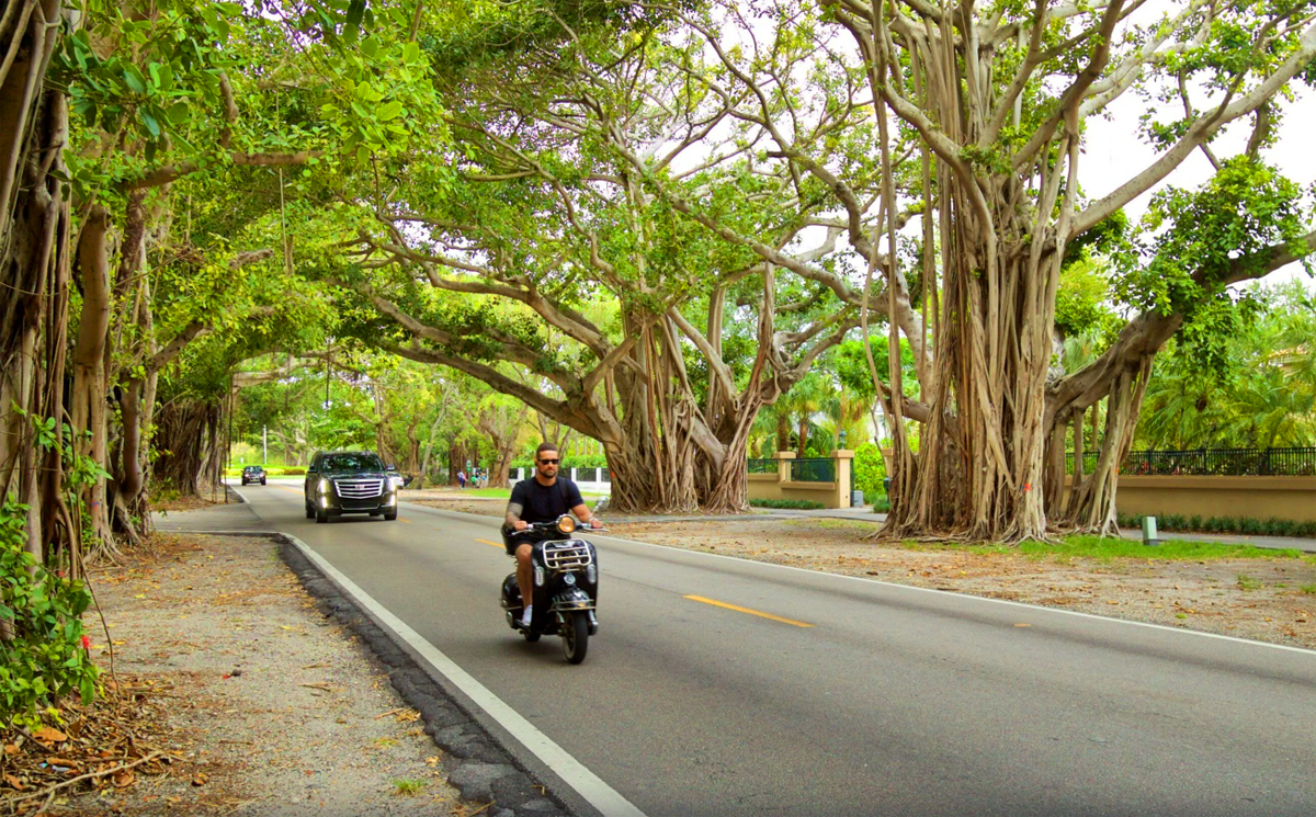 The best scenic driving routes around Miami