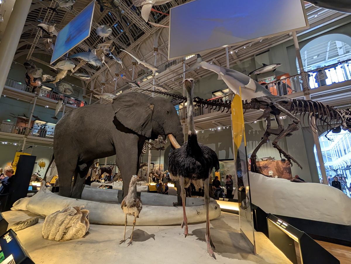 30 Things to Do in Edinburgh
