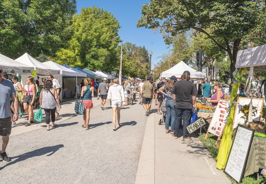 what to do in Salt lake City