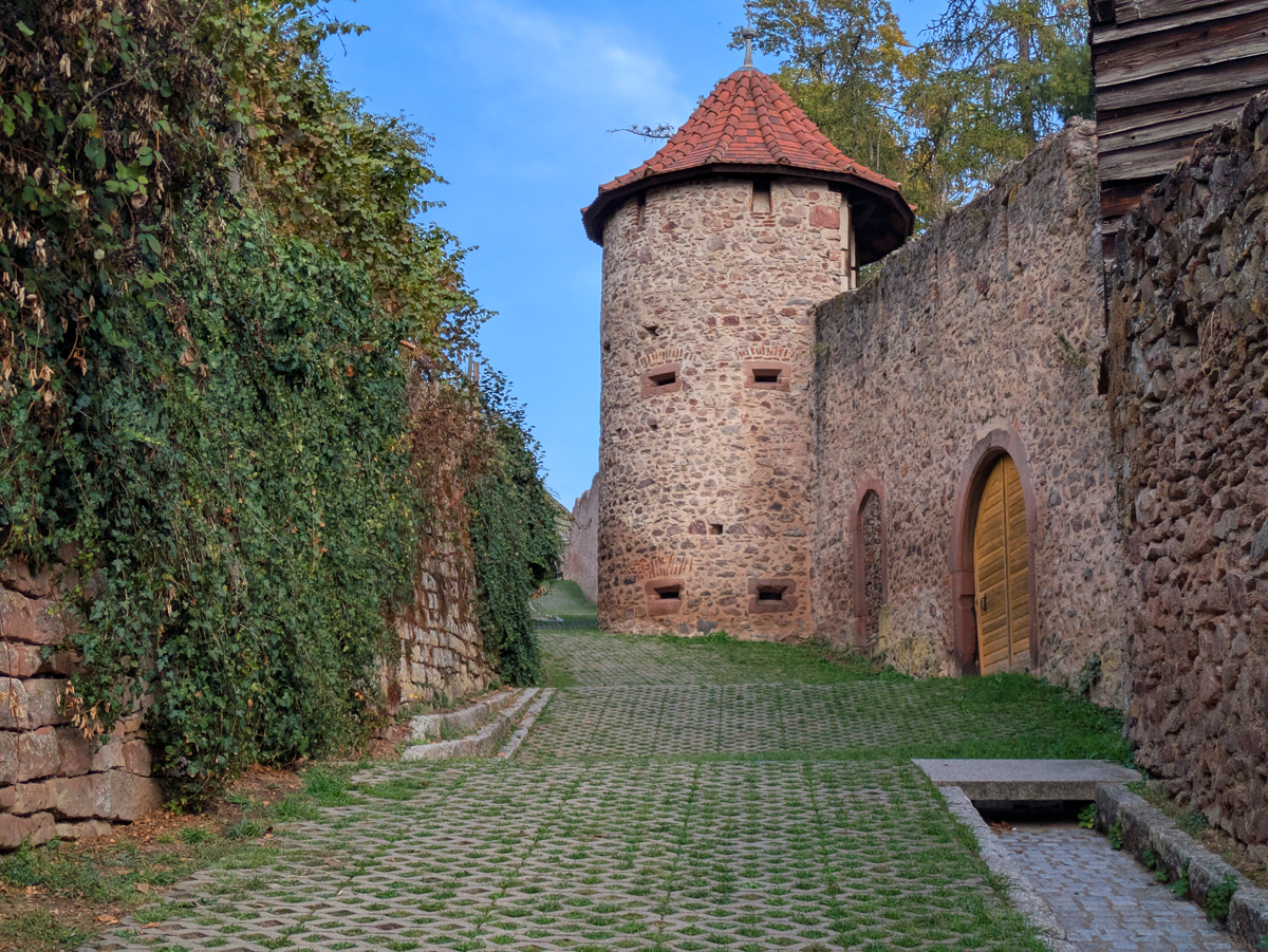 Hiking the Three Castles of Ribeauvillé
