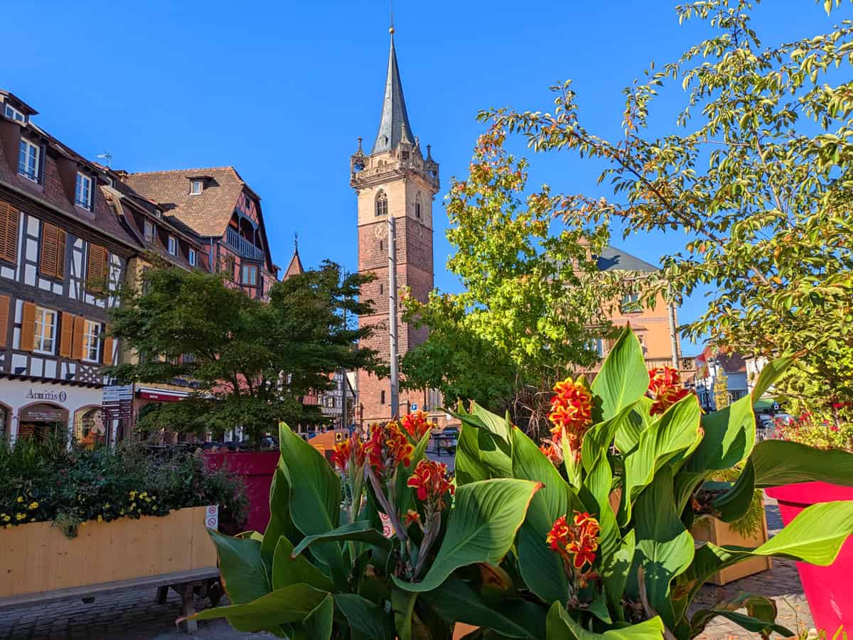Why Obernai makes for a great day trip from Strasbourg