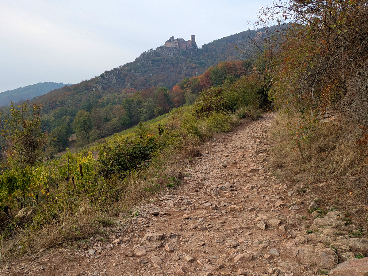 Hiking the Three Castles of Ribeauvillé