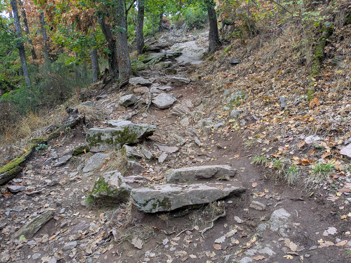 Hiking the Three Castles of Ribeauvillé