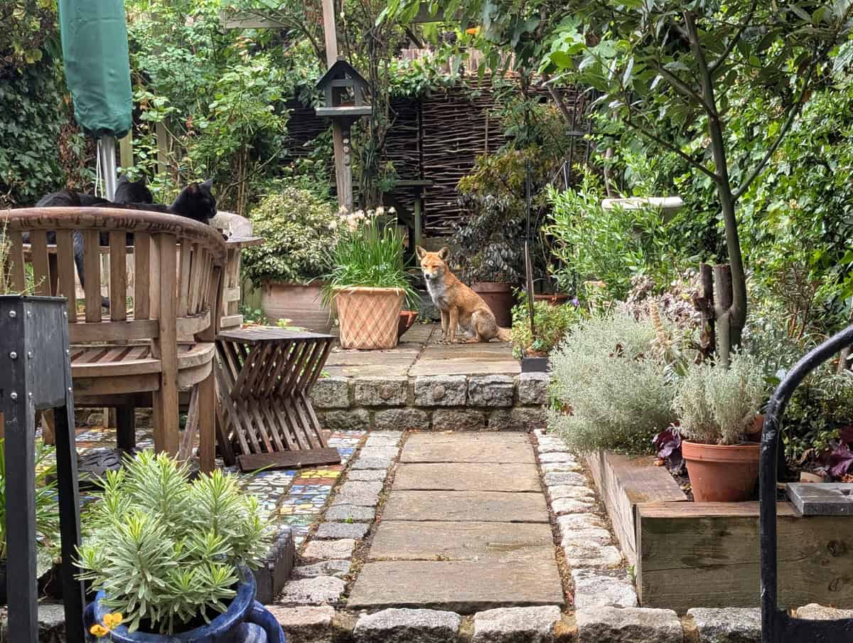 A month in London